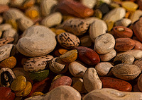 Beans