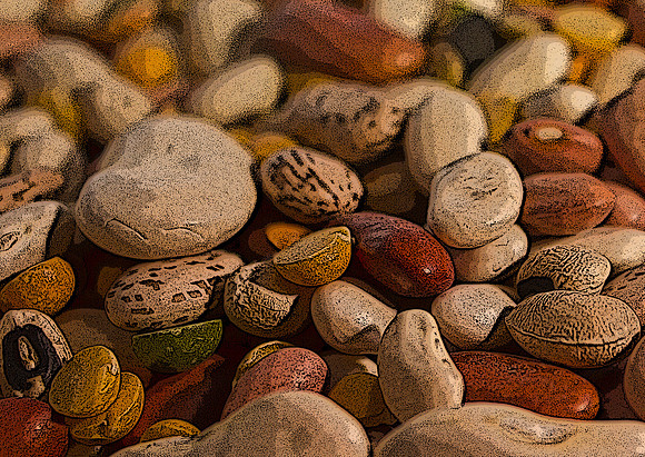 Beans