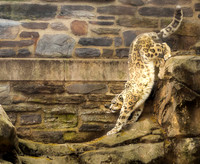 Philadelphia Zoo