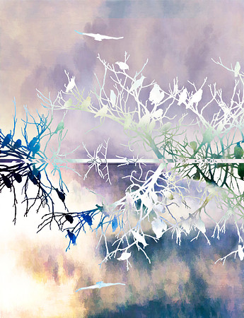 Mirrored Birds