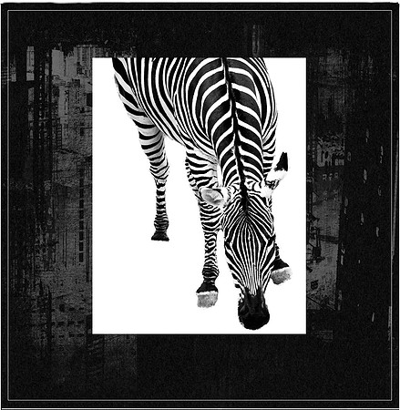 Zebra                                                 ArtAbility Show 2024