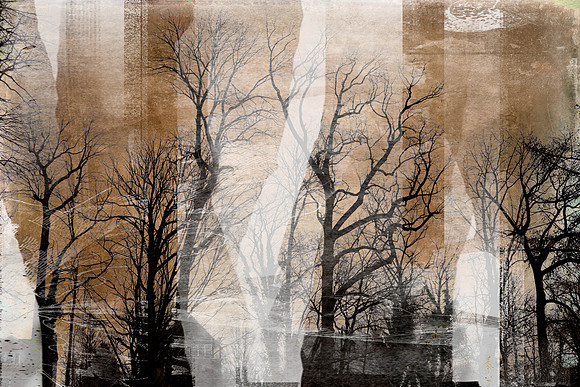 Naylor's Run Park            ArtAbility Show 2024 - won 3rd prize in photography and sold