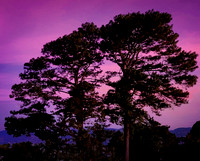 Sunset at La Pampa El Volcán, El Boquerón Art Ability Show 2025