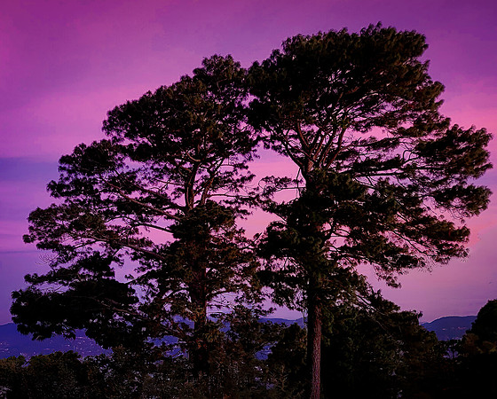 Sunset at La Pampa El Volcán, El Boquerón Art Ability Show 2025