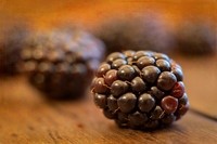 berries